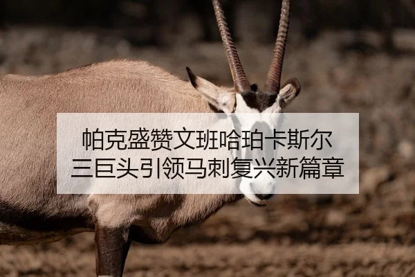 帕克盛赞文班哈珀卡斯尔 三巨头引领马刺复兴新篇章 | ACMilan