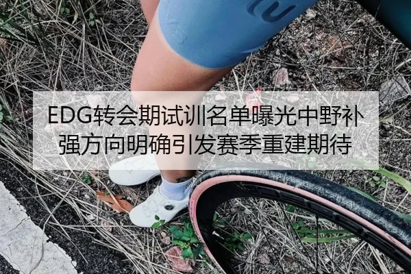 EDG转会期试训名单曝光中野补强方向明确引发赛季重建期待 | ACMilan